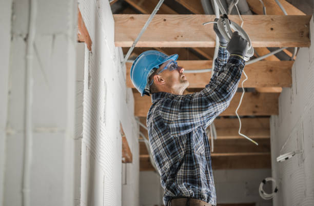 Best Electrical System Inspection  in Mcgraw, NY