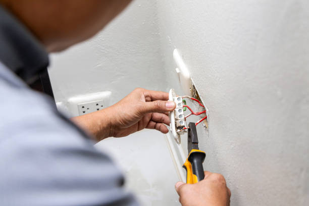 Best Electrical Upgrades for Homes  in Mcgraw, NY